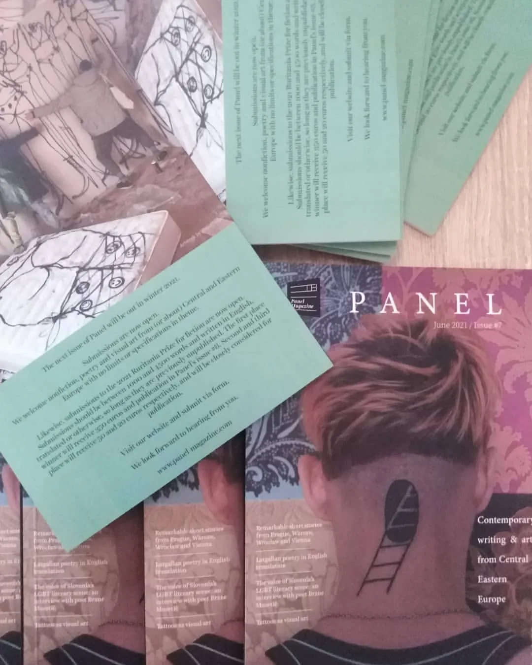 Panel Magazine spread